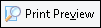 Print Preview Button