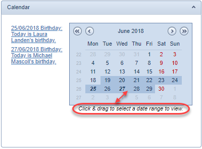 Calendar with the 'Display Days' option