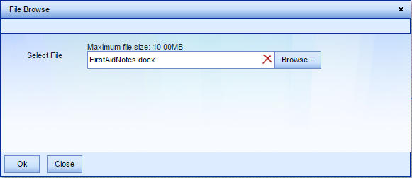 The File Browse window