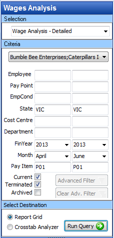 Basic Filter for Labour Costing and Wages Analysis