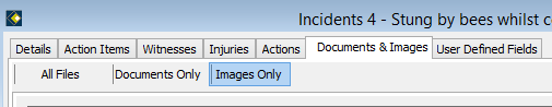 The Add Image option - Images Only - when adding a Document or Image